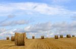 Harvest Time Stock Photo