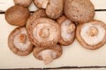 Shiitake Mushrooms Stock Photo