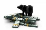 Bear With Money Stock Photo