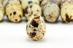 Quail Eggs Stock Photo