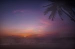 Sunrise With Coconut Palm Trees On Tropical Beach Background Stock Photo