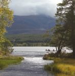 Canoeists On Lake Stock Photo