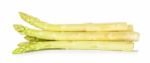 White Asparagus Isolated On The White Stock Photo