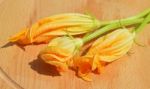 Yellow Courgette Blossoms Stock Photo