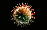 Influenza Virus Stock Photo