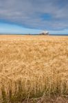 View Of Bass Rock In Firth Of Forth Stock Photo