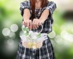 Woman And Flowers Stock Photo