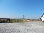 Buffalo Farm, Buffaloes Grazing In Open-air Cages  Stock Photo