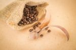 Coffee Roasted Bean On Wooden Table Vintage Style Stock Photo