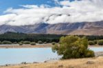 Lake Tekapo Stock Photo