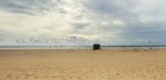 Flock Of Seagulls On A Deserted Beach Stock Photo