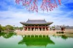 Gyeongbokgung Palace With Cherry Blossom In Spring,south Korea Stock Photo