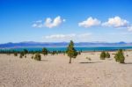 Mano Lake California, Usa Stock Photo