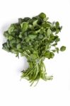 Bunch Of Fresh Watercress Stock Photo