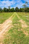 Off Road Track Stock Photo