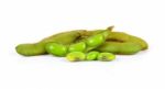 Fresh Harvested Soybean (edamame) Plant Isolated On White Backgr Stock Photo