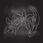 Sg170104-green Bahand Drawing Of Orchid On Black Board - I Stock Photo