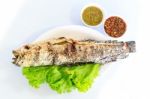 Grilled Salted Catfish Stock Photo