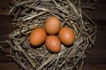 Chicken Eggs Stock Photo