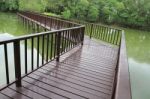 Wooden Bridge Over The Lake Through The Forest Stock Photo