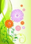 Floral Flower Background Stock Photo