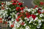 East Grinstead In Bloom Stock Photo