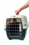 Pet Carrier Stock Photo