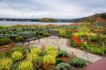 Sightseeing Seats For Mt.fuji, Kawaguchiko Lake, And Garden Stock Photo