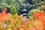 Tahoto Pagoda With Autumn Leaves In Eikando, Kyoto Stock Photo