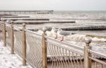 Two Seagulls Sitting On A Fence Stock Photo