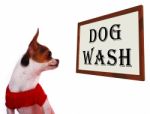 Dog Wash Sign Stock Photo