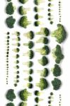 Bunch Of Broccoli Vegetables Aligned In A Perfect Way Stock Photo