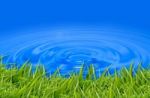 Grass In Blue Water Stock Photo