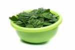 Bunch Of Fresh Spinach On A Green Bowl Stock Photo