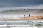 Alnmouth, Northumberland/uk - August 17 : Walking The Dogs Along Stock Photo