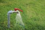 Tab Water Flowing Out From The Tab To Green Grass Field Stock Photo