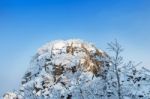 Snow On Tree,landscape In Winter Stock Photo