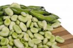 Broad Beans Stock Photo