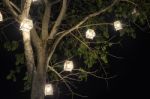 Lanterns Hanging From Tree Stock Photo