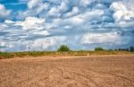 Plain Summer Landscape Stock Photo