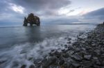 Hvitserkur On The Northern Of Iceland Stock Photo