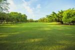 Morning Light In Public Park And Green Grass Garden Field ,tree And Plant Use As Natural Background Stock Photo