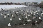 Iceland Stock Photo