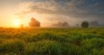 Summer Misty Morning Stock Photo