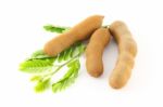 Three Tamarind On Green Leaf Stock Photo