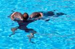 Dolphin Show At Loro Parque Stock Photo