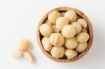 Macadamia Stock Photo