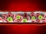  Red Blood Cells With Wain Stock Photo