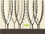 Tree Background Illustration Stock Photo