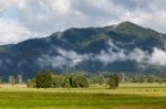 New Zealand Countryside Stock Photo